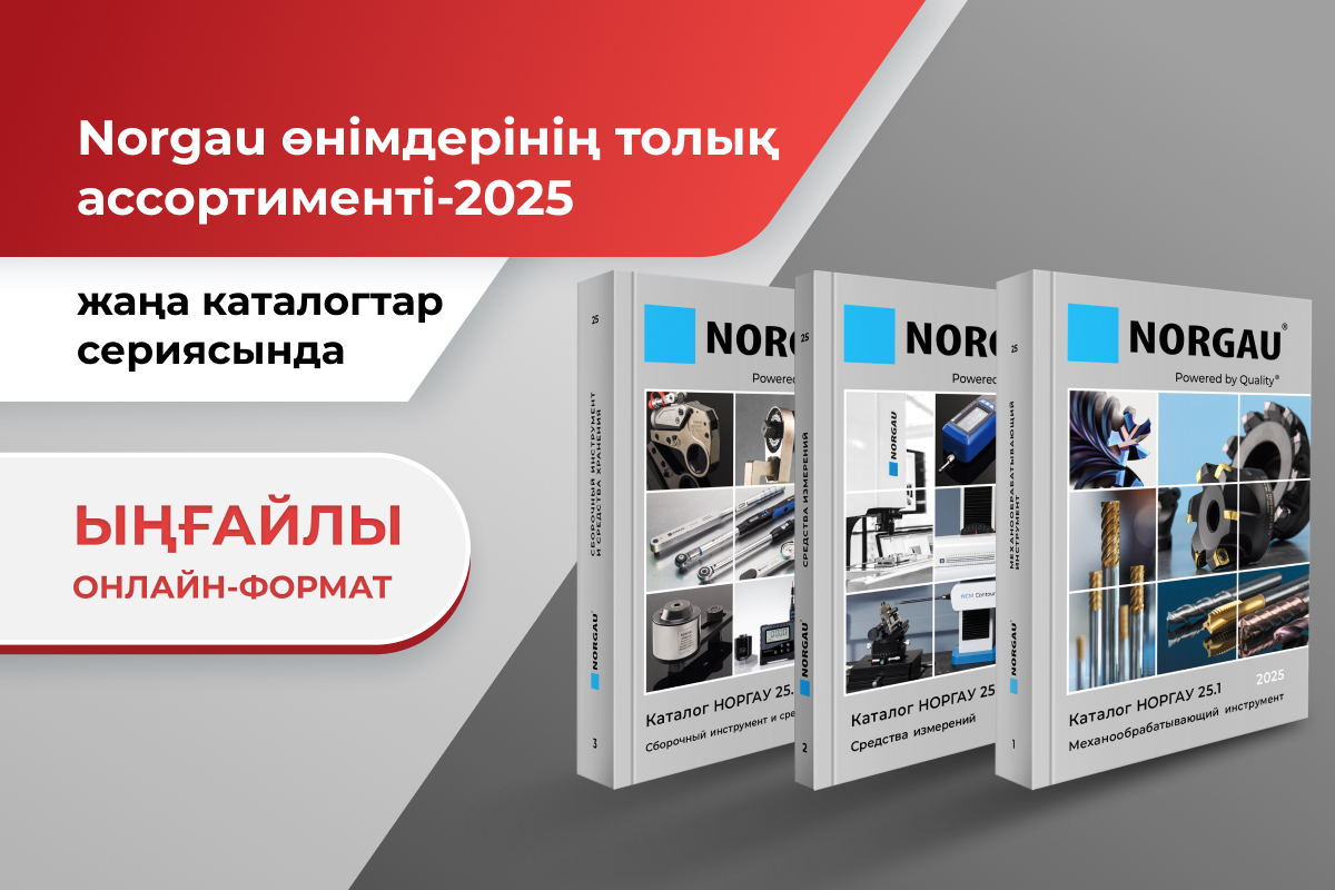 2025 Norgau каталогтары