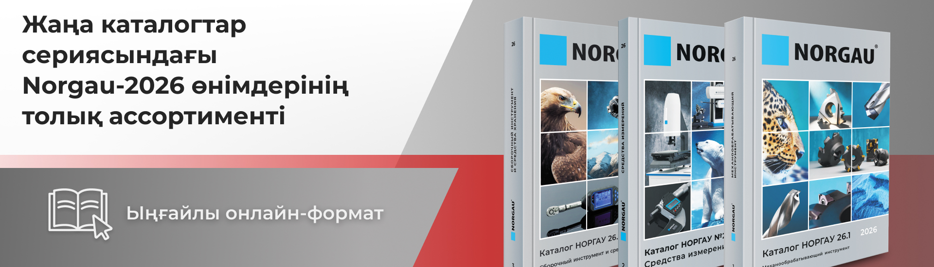 KZ Новая серия каталогов Norgau-2026: приятного просмотра!